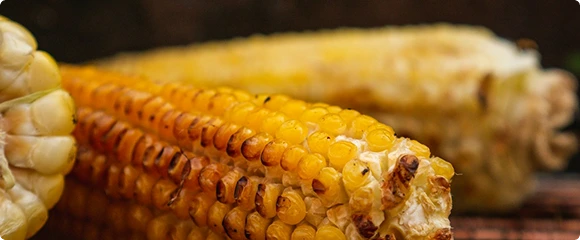 A close-up of charred corn on the cob with golden-yellow kernels, freshly taken off the grill.